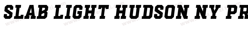 Slab Light Hudson NY Pro字体转换